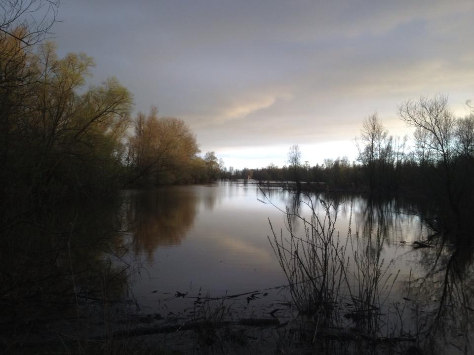 In de natuur kreeg ik weer adem.